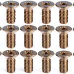 X AUTOHAUX Stainless Steel Brake Screw Kit for Honda SEPUS_BWY4HJNK-0